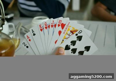 体育投注站必读：数字人民币钱包层级与入金操作全解析