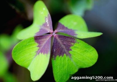 北京赛车深度解析：体育投注站教你玩转苹果端下载与策略