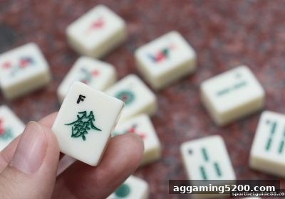 体育投注站视角：牛牛分池管理与赛果统计的实战框架