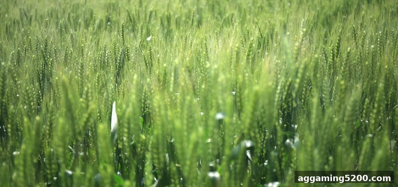 水果机麻将胡牌实战要诀：体育投注站高手进阶指南